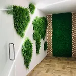 Colors Boutique 4* Obzor